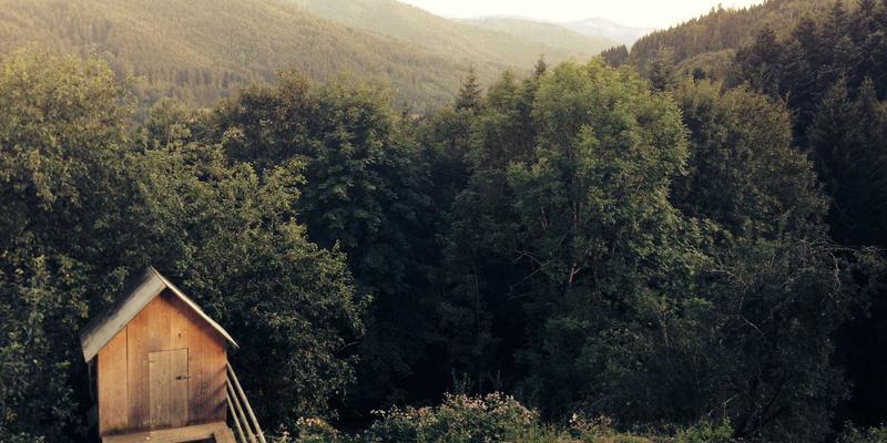 从功能到风尚：高尔夫杯的演变如何重塑高尔夫装备文化