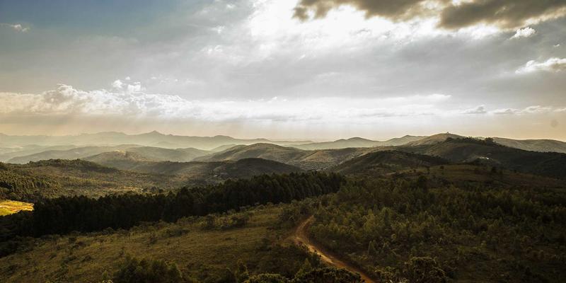 从奖杯到字节：高尔夫杯赛事历史档案数字化如何推动文化传承与装备革新