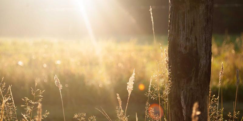 从球杆到屏幕：高尔夫杯赛事转播技术革新如何重塑沉浸式观赛体验