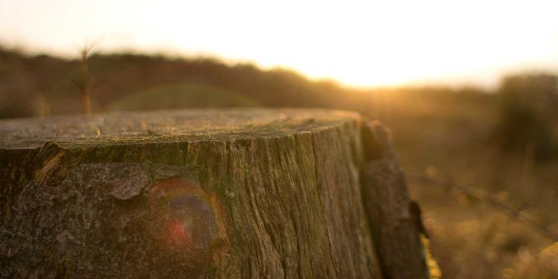 从赛事到收藏：高尔夫杯官方纪念品设计与IP衍生开发全案解析