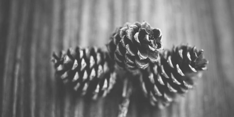 提升观赛体验：如何通过专业高尔夫装备与配件优化赛事全流程设计