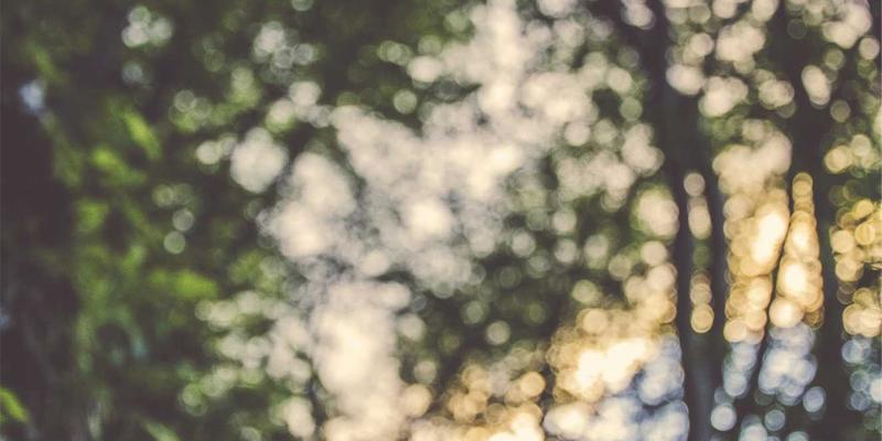 高尔夫杯39：不只是容器，更是球场上的专业伙伴与风格宣言