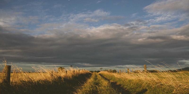 高尔夫杯41:不只是奖杯,更是专业高尔夫装备的集大成者