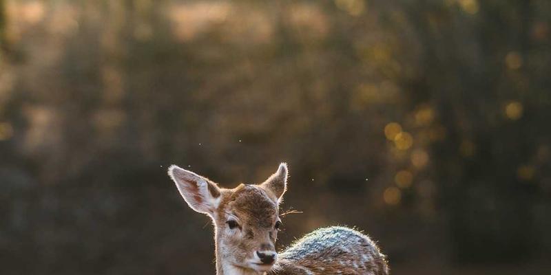高尔夫杯75:专业运动装备与服装的进阶指南