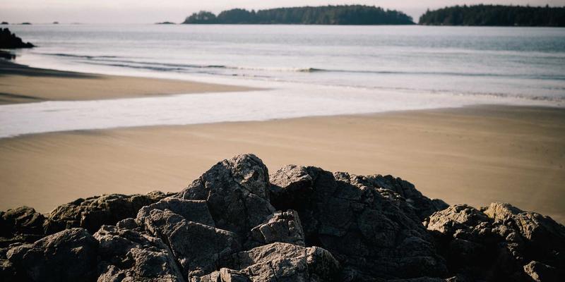 高尔夫杯媒体转播权分销策略：区域代理与OTT平台合作模式