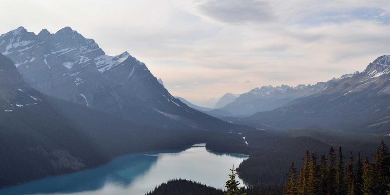 高尔夫杯赛事成功的关键：志愿者招募、培训与管理体系构建全指南