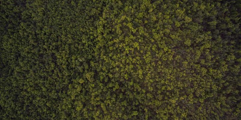 高尔夫杯赛事数据分析：如何利用大数据优化球员表现与赛事策略