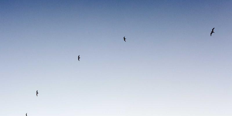 高尔夫赛事如何驱动城市旅游经济？从高尔夫服装到球杆消费的产业链效应