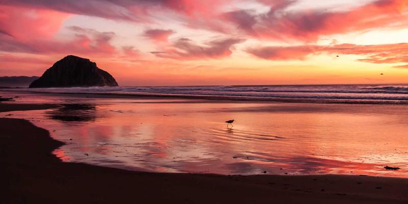 高尔夫赛事如何驱动城市旅游经济？从高尔夫装备到旅游名片的产业联动